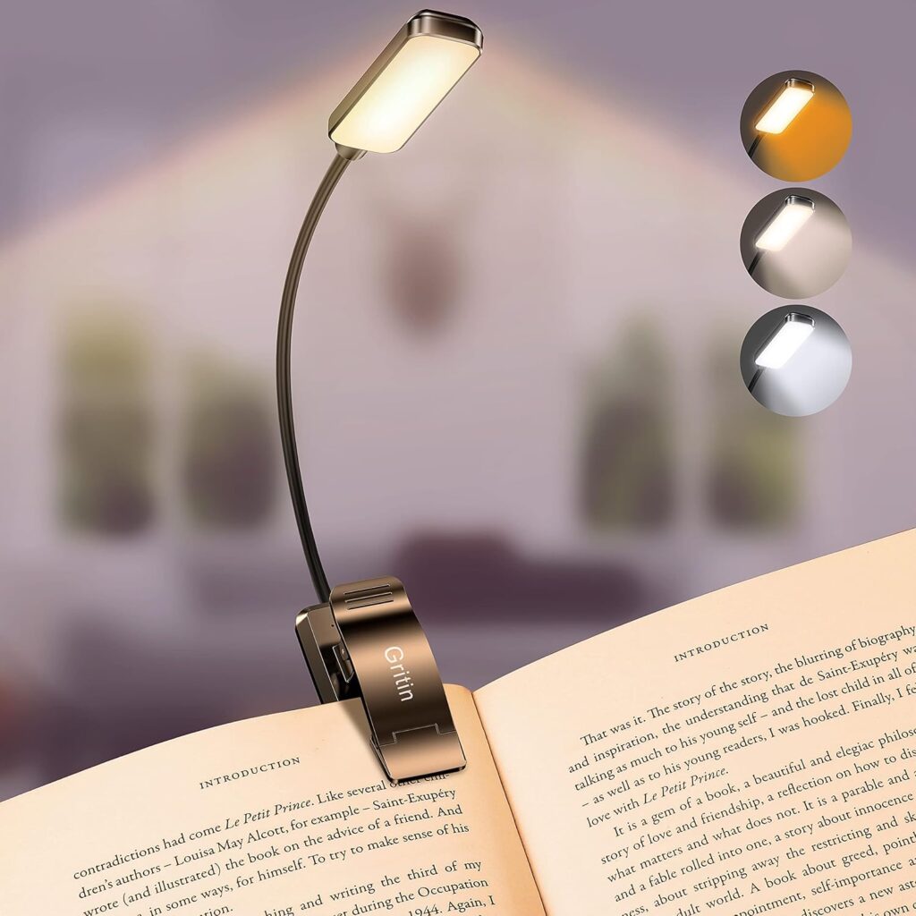 20 Gift Ideas for Book Lovers